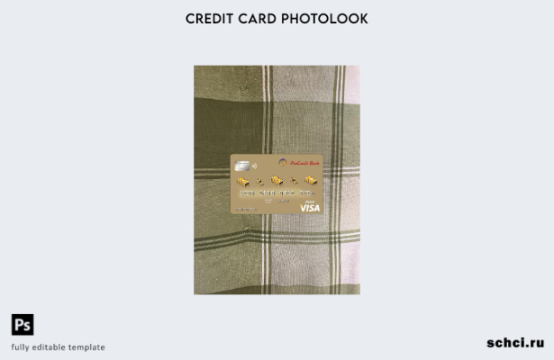 цифровая загрузка Албания Procredit Bank Visa Card фотоизображение переднего шаб